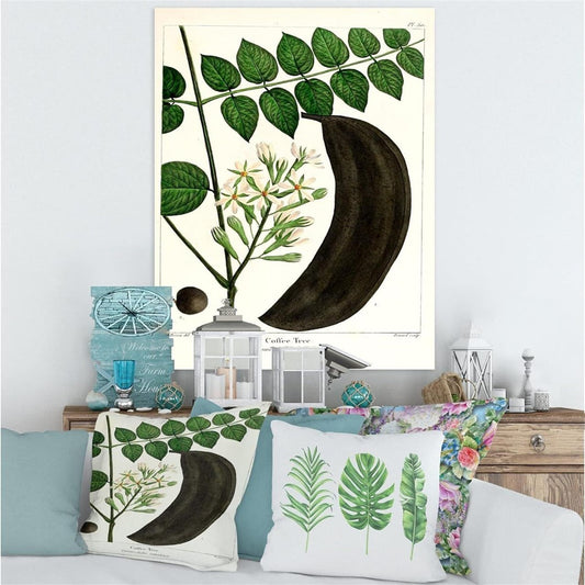 30"x40" Vintage Botanical Coffee Tree Gallery Wrap Canvas Wall Art Bessa Print