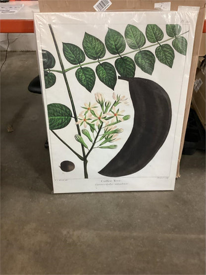 30"x40" Vintage Botanical Coffee Tree Gallery Wrap Canvas Wall Art Bessa Print